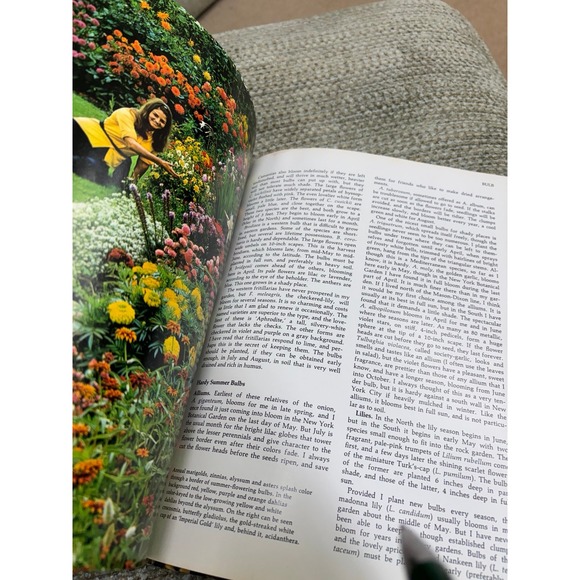 Good Housekeeping Illustrated Encyclopedia of Gardening 3 - Picture 5 of 9